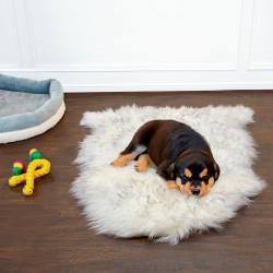 Super Area Rugs Gray & White Mix Sheepskin Rug Genuine Single 2x3ft Pelt Fluffy Fur Seat Cushion and Chair Cover