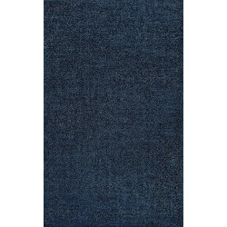 Haze Solid Low-Pile Indoor Area-Rug Casual Contemporary Solid Traditional Easy-Cleaning Bedroom Kitchen Living Room Non Shedding, 5 ft x 8 ft, Navy