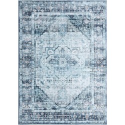 Large Vintage Washable Rug 8x10 Blue/Multi Low-Pile Indoor Floral Print Carpet Non Slip Printed Persian Boho Area Rug for Living Room