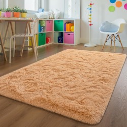 Shag Area Rug for Living Room, 4x6 Feet Orange Soft Fluffy Indoor Plush Throw Rugs for Bedroom Girls Kids Room Nursery Dorm Home Decor Carpet